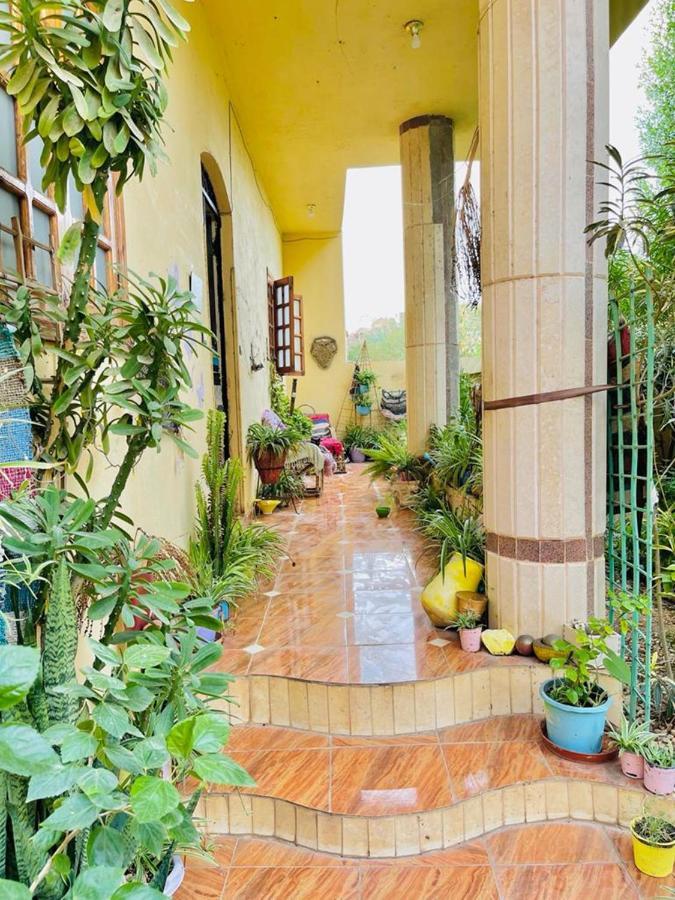 Luxor Nile View Flats Διαμέρισμα Εξωτερικό φωτογραφία