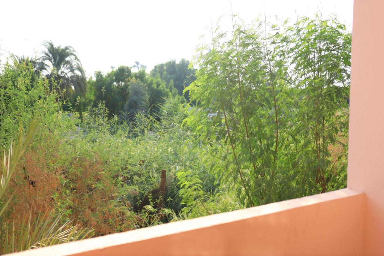 Luxor Nile View Flats Διαμέρισμα Εξωτερικό φωτογραφία